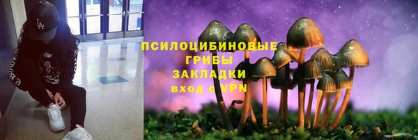 PSILOCYBIN Бугульма